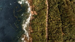 aerial view of green and brown mountain beside body of water during daytime